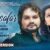 Humsafar Lyrics